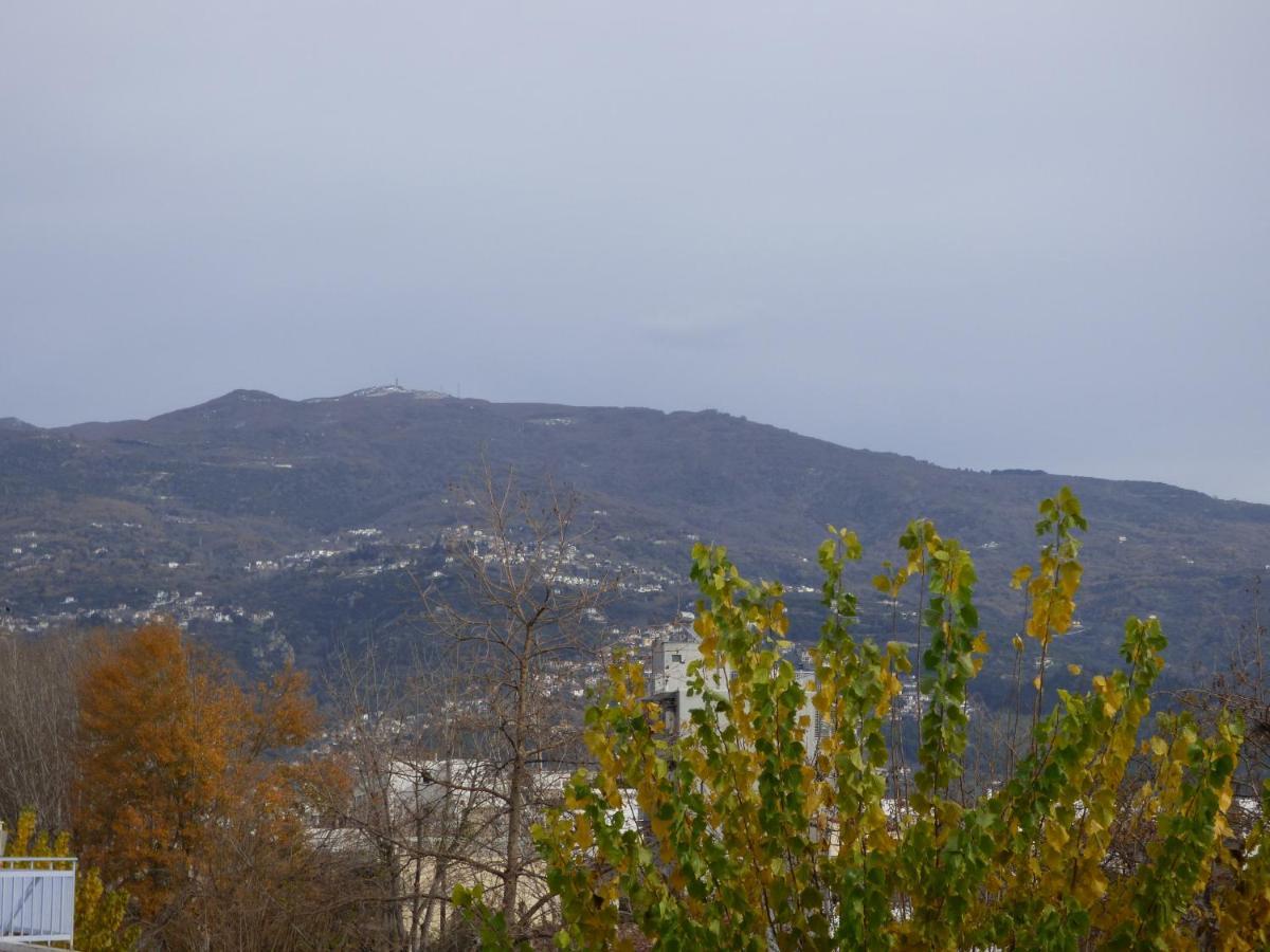 Old City View Apartment Volos Eksteriør bilde